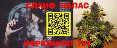 крисы Краснодар