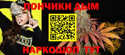 крисы Краснодар