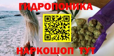 крисы Краснодар