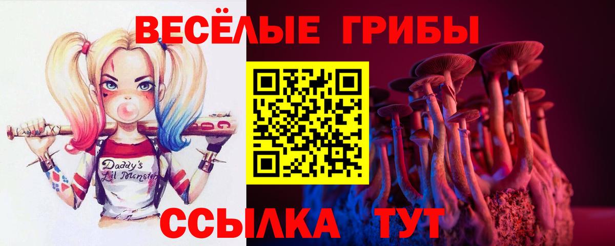 Галлюциногенные грибы ЛСД  закладки  Янаул  Вход с VPN 