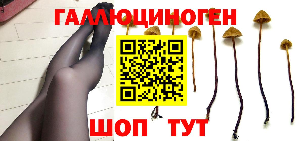 Галлюциногенные грибы ЛСД Янаул